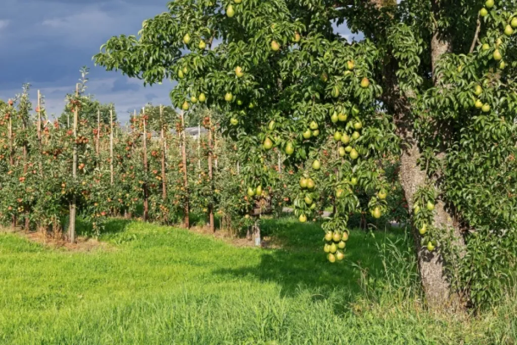 Aides aux agriculteurs : les soldes pour la campagne 2023 connus