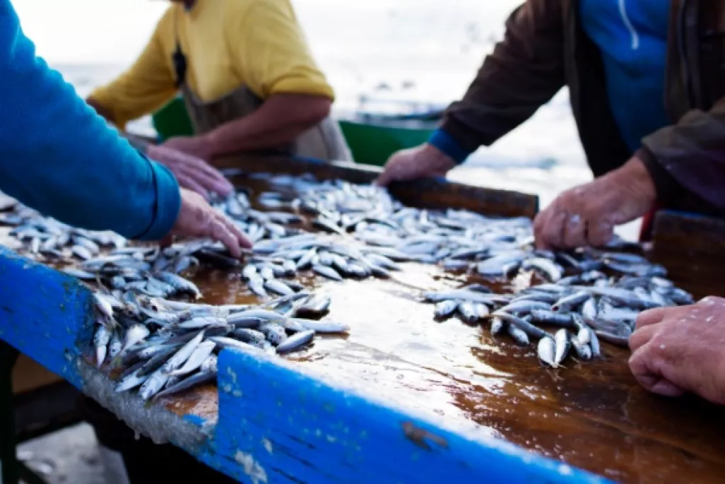 Pêcheurs, antériorités et sous-quotas : quelques modifications ! 