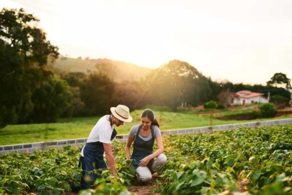 Ajustement de droits à paiement de base : quelques précisions pour les exploitants agricoles… Ajustement de droits à paiement de base : quelques précisions pour les exploitants agricoles…